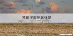 莲藕煲海参怎样煲