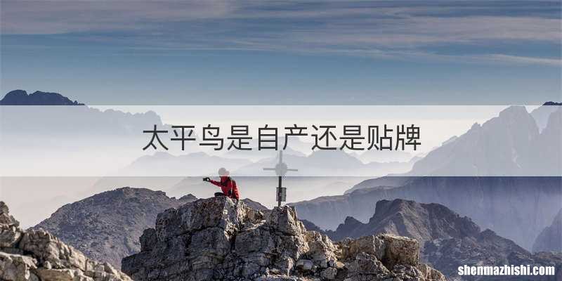 太平鸟是自产还是贴牌