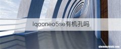 iqooneo5se有机孔吗