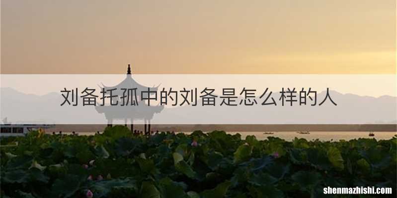 刘备托孤中的刘备是怎么样的人