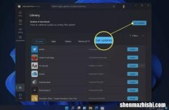 如何更新Windows11上的应用程序