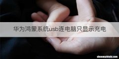 华为鸿蒙系统usb连电脑只显示充电