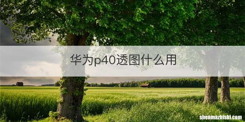 华为p40透图什么用