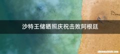 沙特王储晒照庆祝击败阿根廷