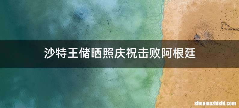 沙特王储晒照庆祝击败阿根廷