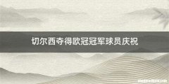 切尔西夺得欧冠冠军球员庆祝