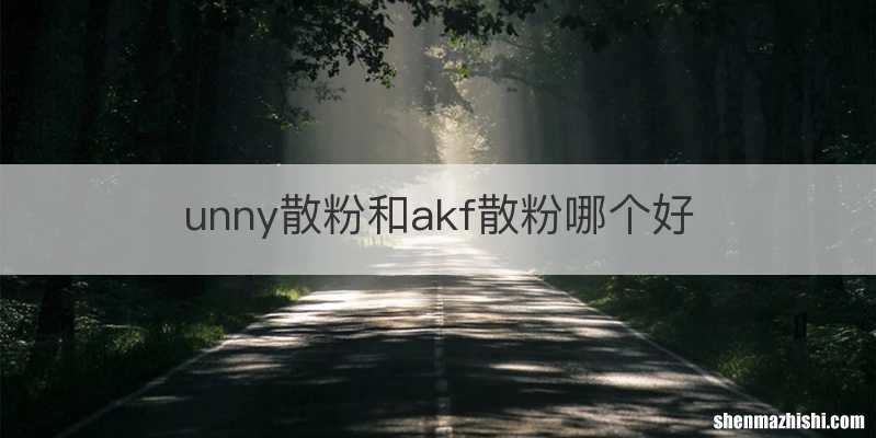 unny散粉和akf散粉哪个好