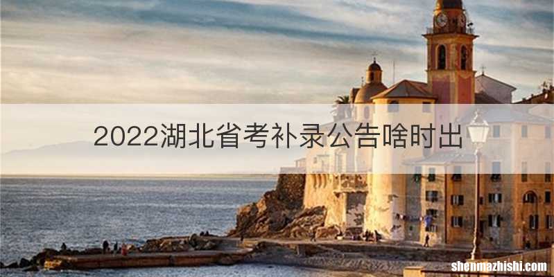 2022湖北省考补录公告啥时出