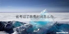 省考过了缴费时间怎么办