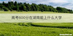 高考600分在湖南能上什么大学