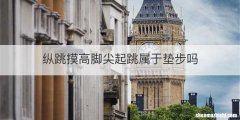 纵跳摸高脚尖起跳属于垫步吗