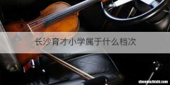 长沙育才小学属于什么档次