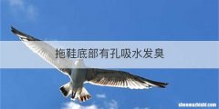 拖鞋底部有孔吸水发臭
