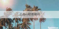正品ro鞋底硬吗