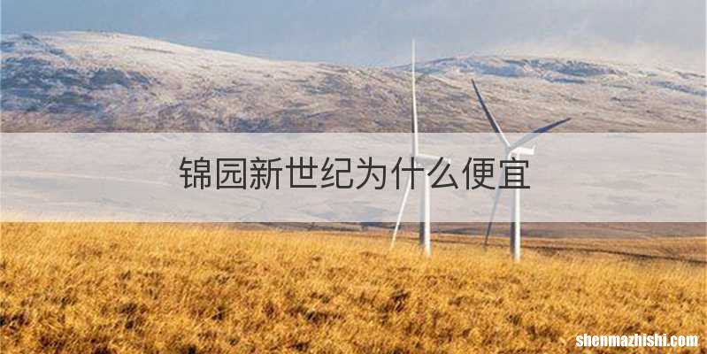 锦园新世纪为什么便宜