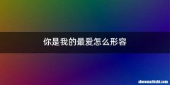 你是我的最爱怎么形容
