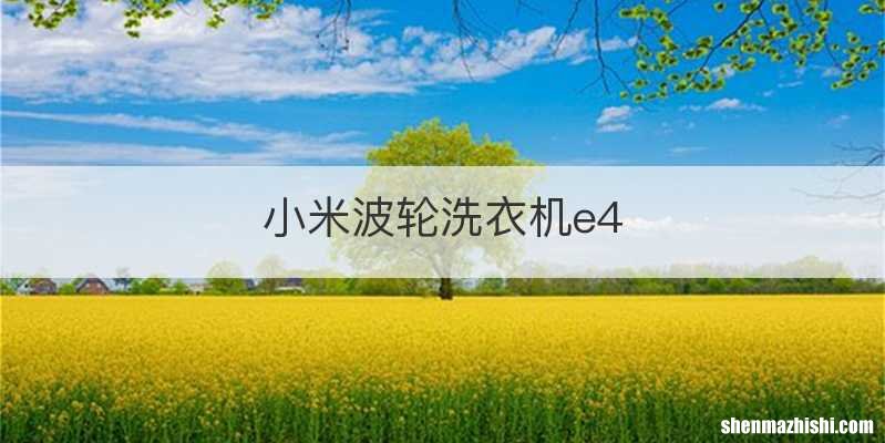 小米波轮洗衣机e4