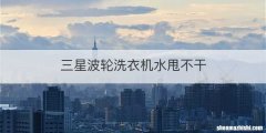 三星波轮洗衣机水甩不干