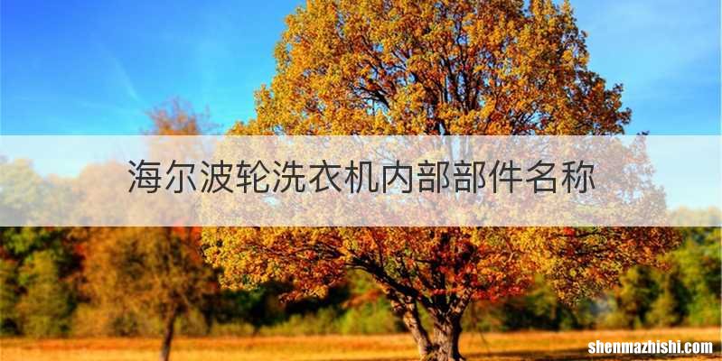 海尔波轮洗衣机内部部件名称