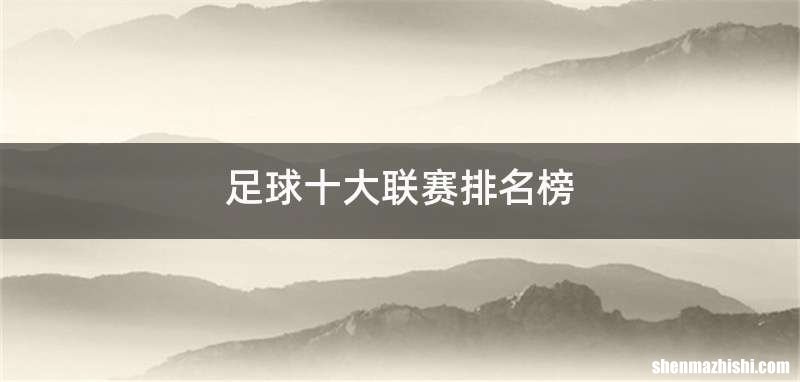 足球十大联赛排名榜