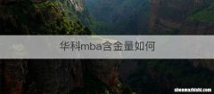 华科mba含金量如何