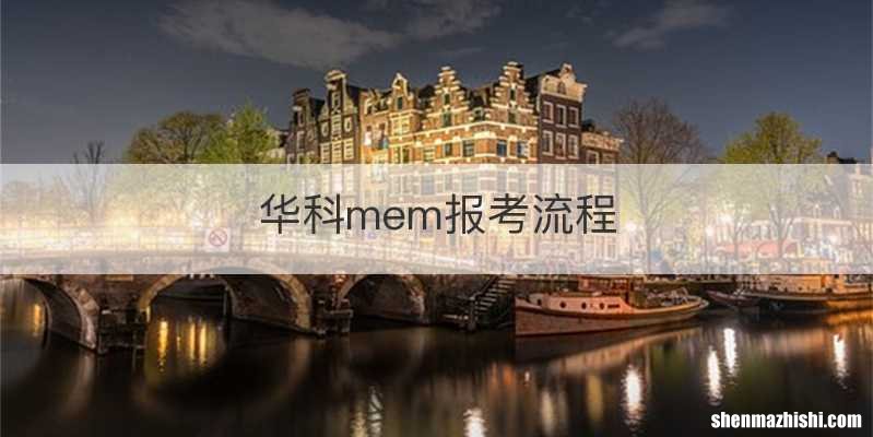 华科mem报考流程