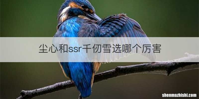 尘心和ssr千仞雪选哪个厉害