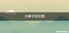 大狮子切尔西
