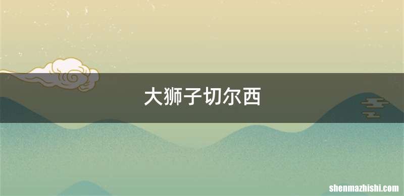 大狮子切尔西