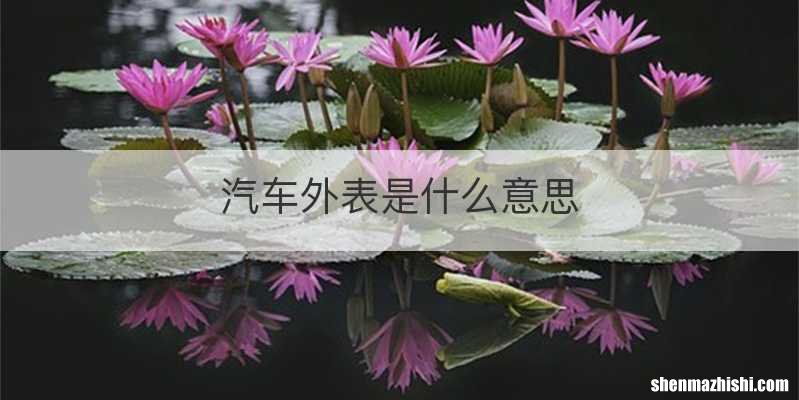 汽车外表是什么意思