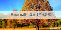 元plus ev哪个版本性价比最高