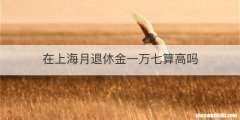 在上海月退休金一万七算高吗