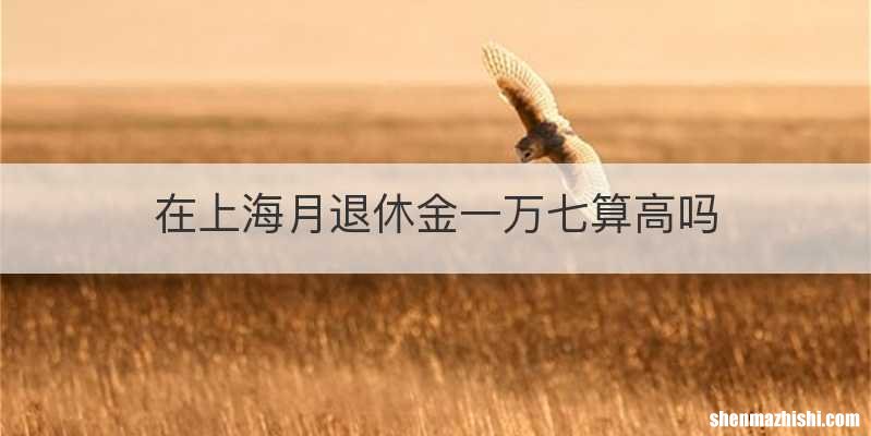 在上海月退休金一万七算高吗