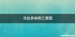 马拉多纳死亡原因