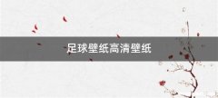 足球壁纸高清壁纸
