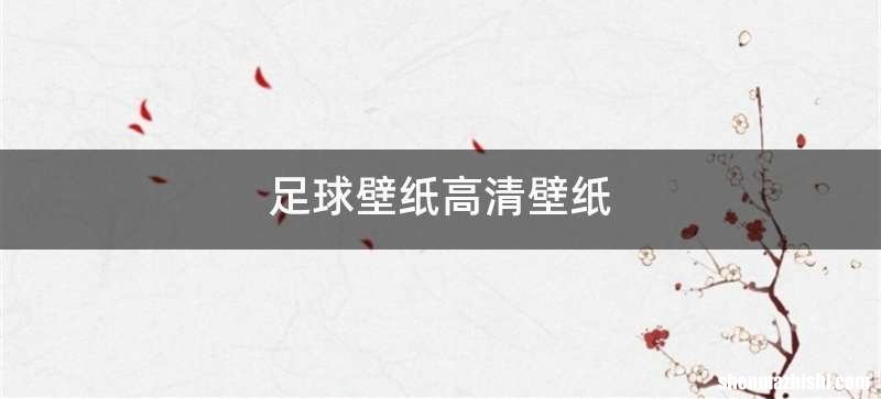 足球壁纸高清壁纸