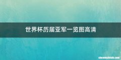 世界杯历届亚军一览图高清
