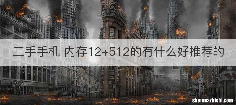二手手机 内存12+512的有什么好推荐的
