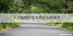 长沙植物园郁金香什么时候开