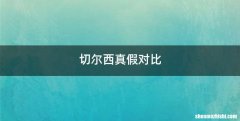 切尔西真假对比