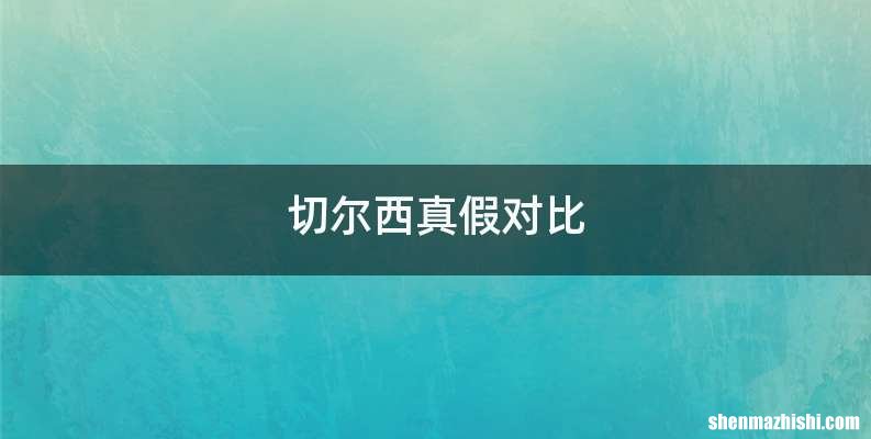 切尔西真假对比