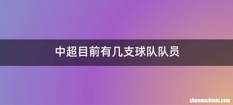 中超目前有几支球队队员