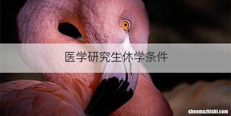 医学研究生休学条件
