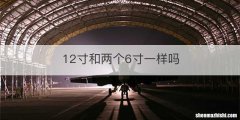 12寸和两个6寸一样吗
