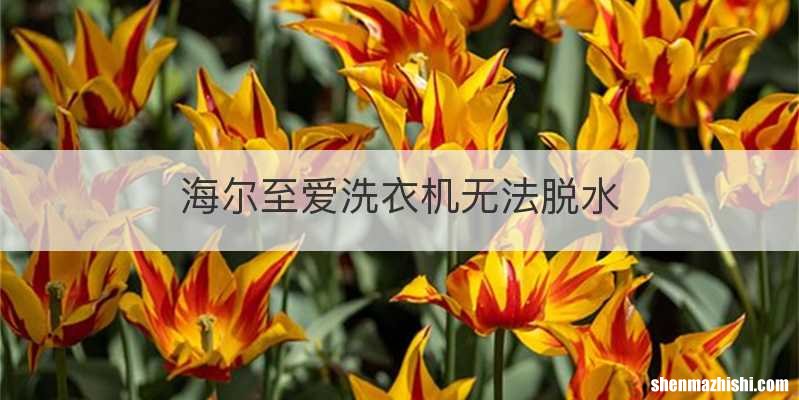 海尔至爱洗衣机无法脱水
