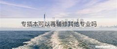 专插本可以再辅修其他专业吗