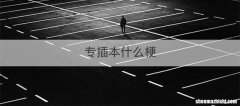 专插本什么梗
