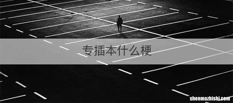 专插本什么梗