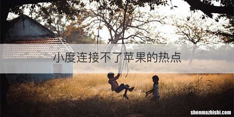 小度连接不了苹果的热点