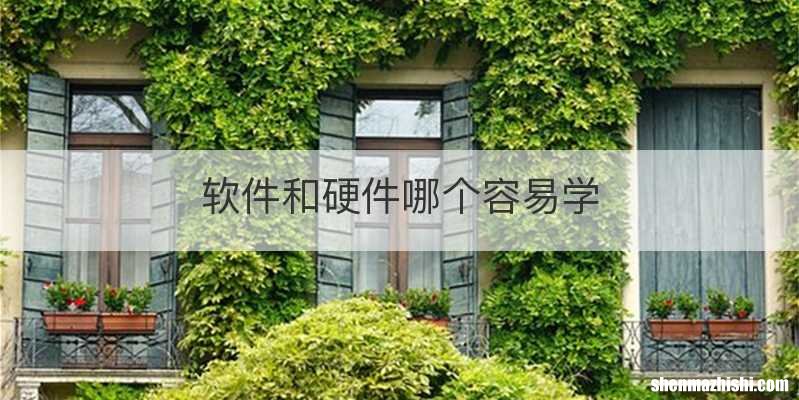 软件和硬件哪个容易学